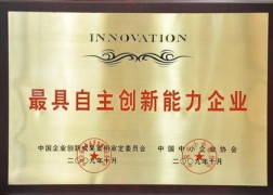 最具自主创新能力企业