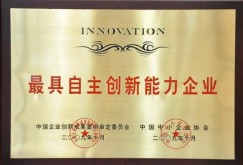 最具自主创新能力企业